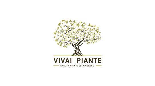 VIVAI E PIANTE – CRISAFULLI