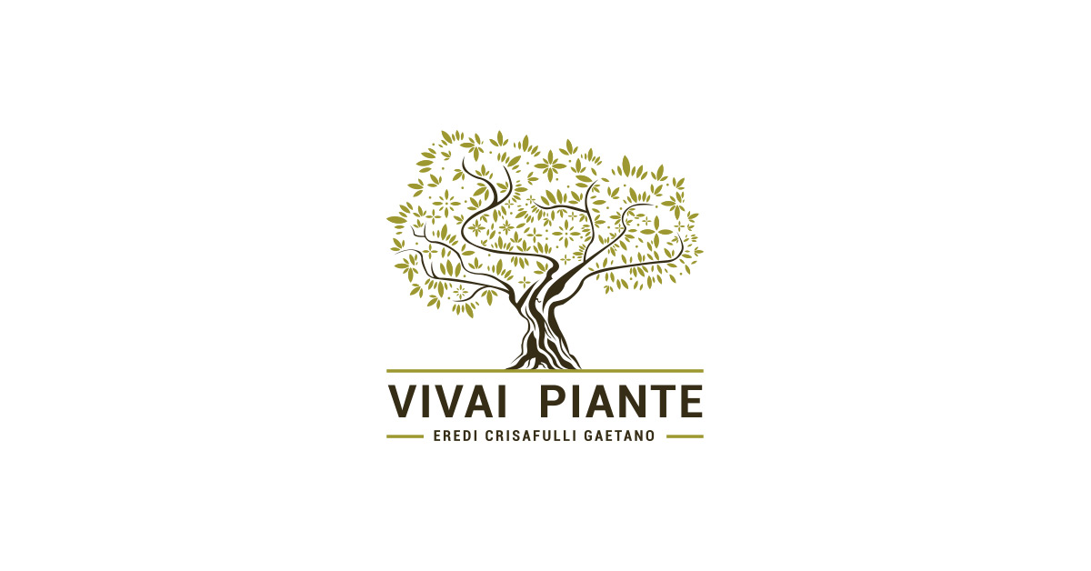 VIVAI E PIANTE – CRISAFULLI